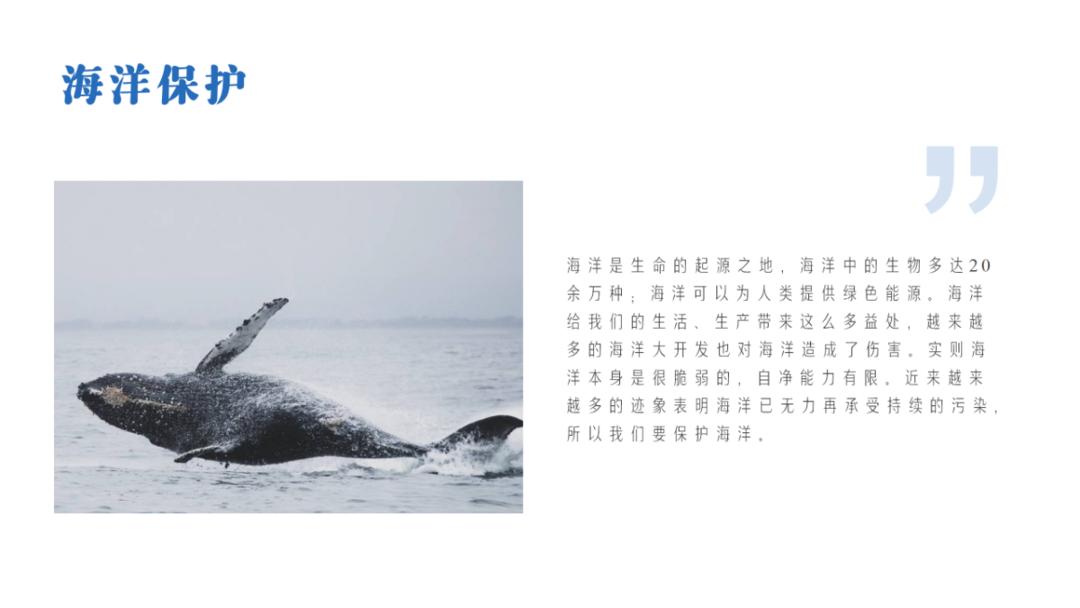 样张-智能配图-海洋_05.png 图片