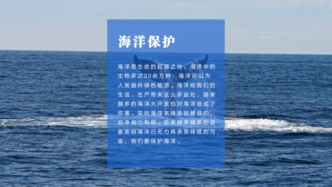 样张-智能配图-海洋_08.png 图片