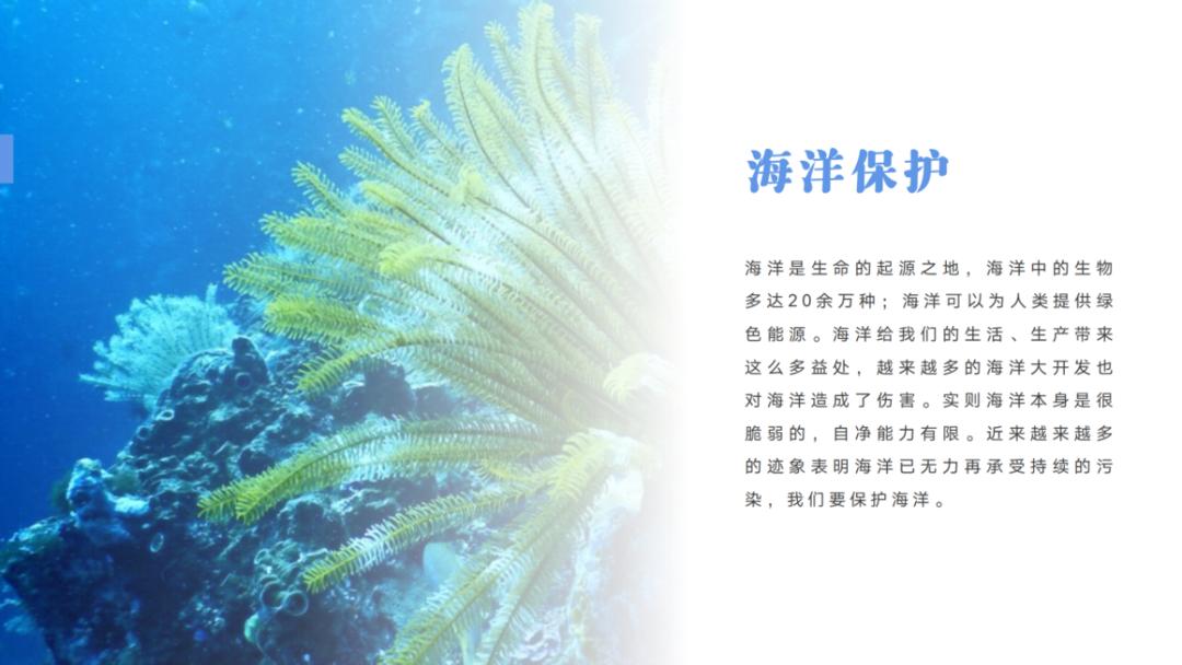 样张-智能配图-海洋_03.png 图片