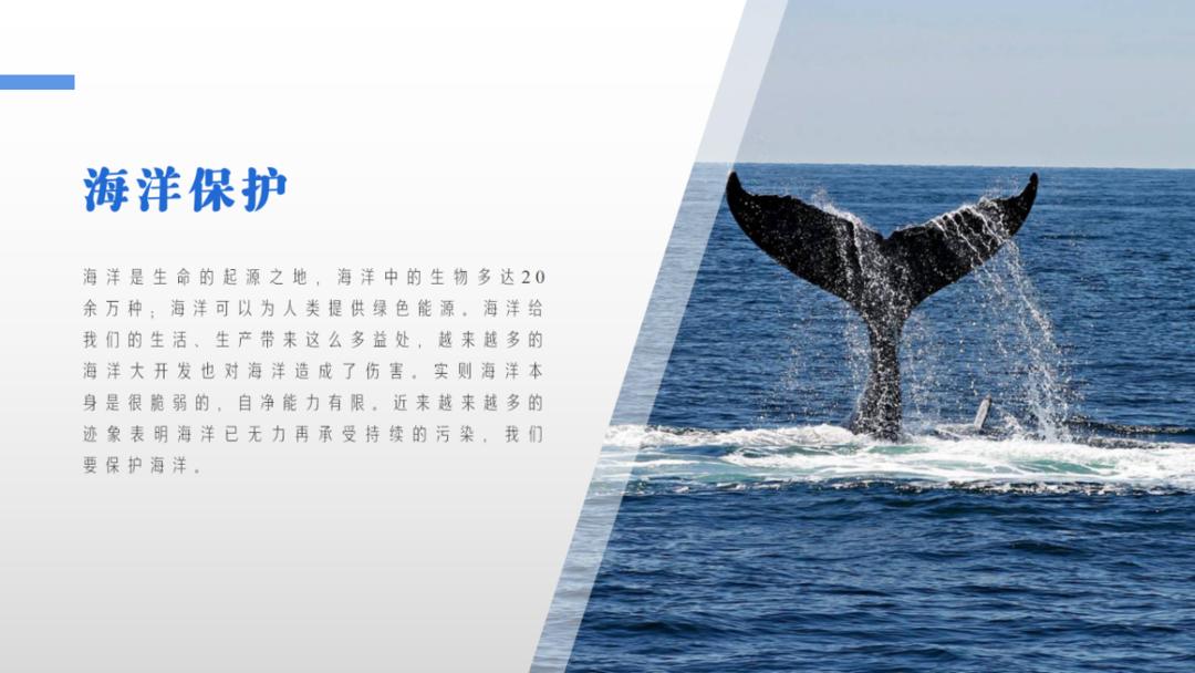 样张-智能配图-海洋_07.png 图片