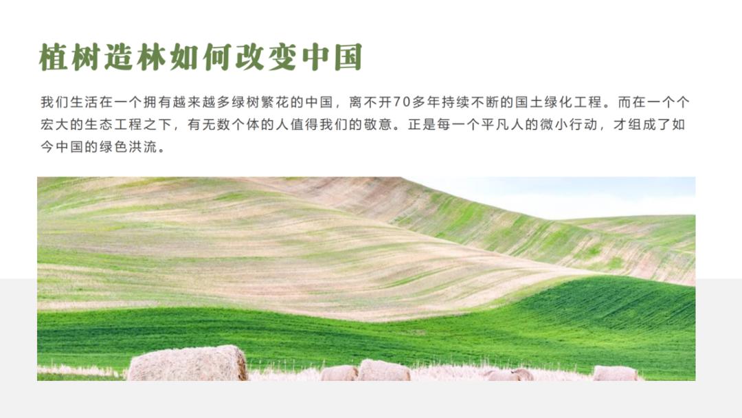样张-智能配图-植树造林_03.png 图片