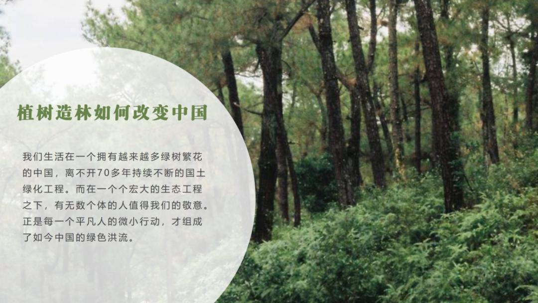 样张-智能配图-植树造林_04.png 图片