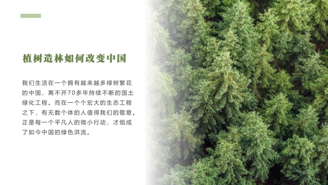 样张-智能配图-植树造林_02.png 图片