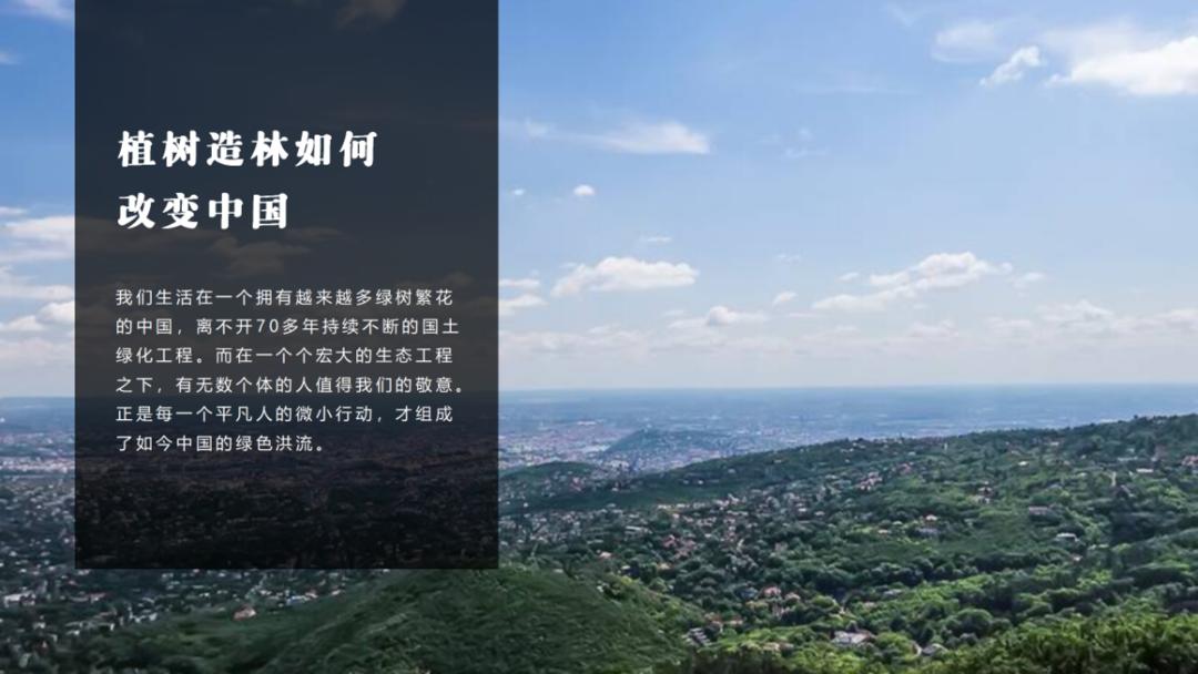 样张-智能配图-植树造林_05.png 图片
