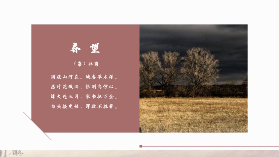 样张-智能配图-古诗文鉴赏_02.png 图片