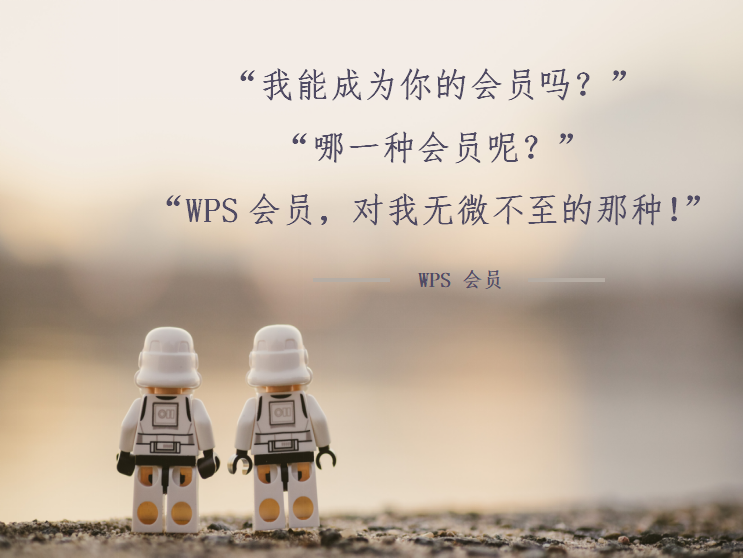 WPS会员.png